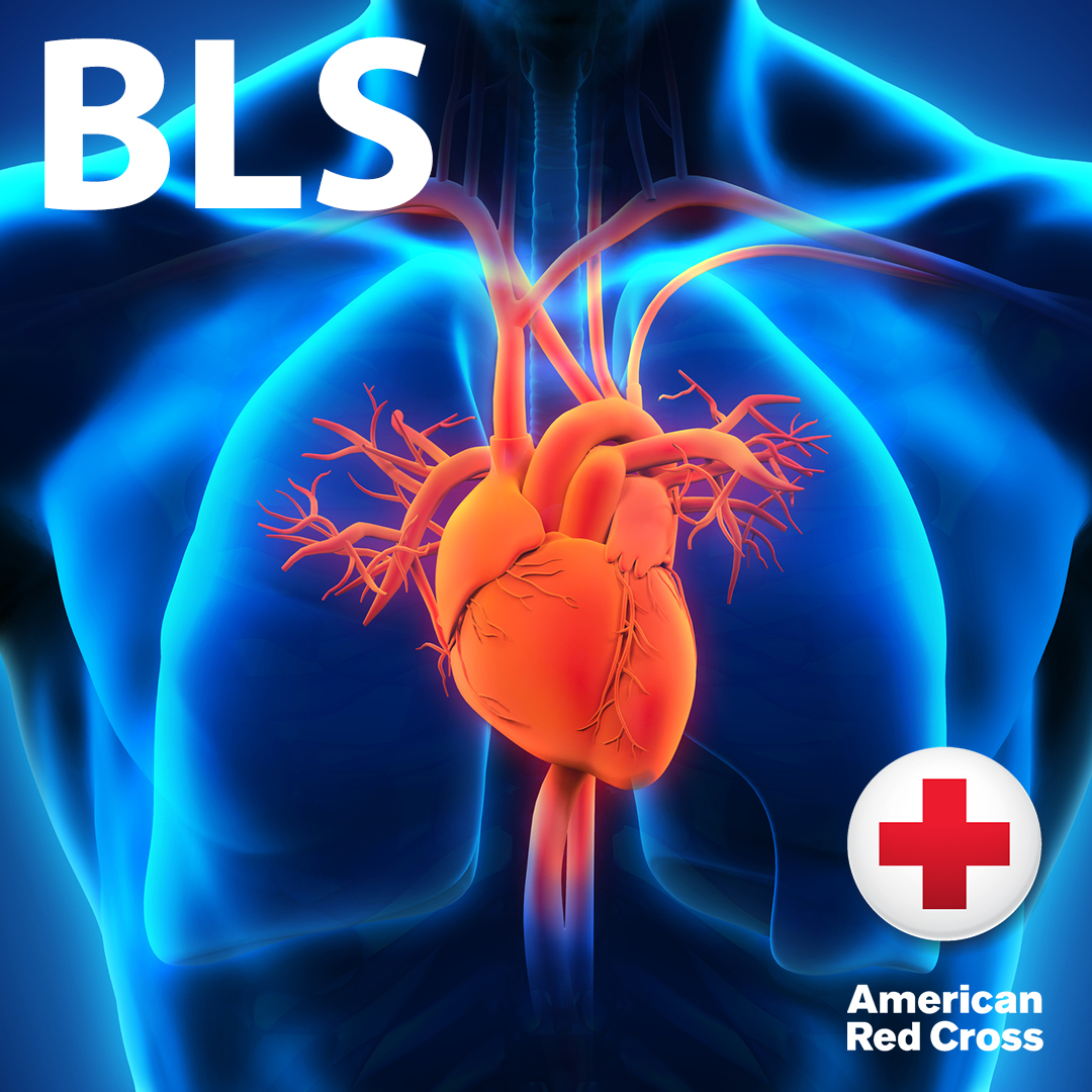 American Red Cross BLS Certification