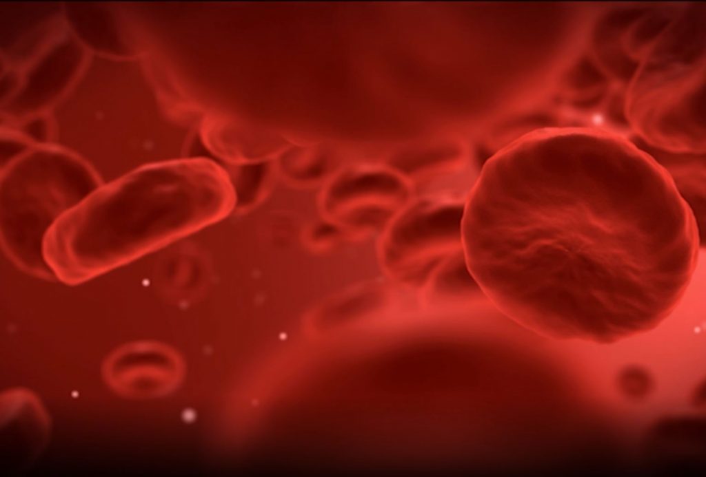 Bloodborne Pathogens Red Bolld Cells