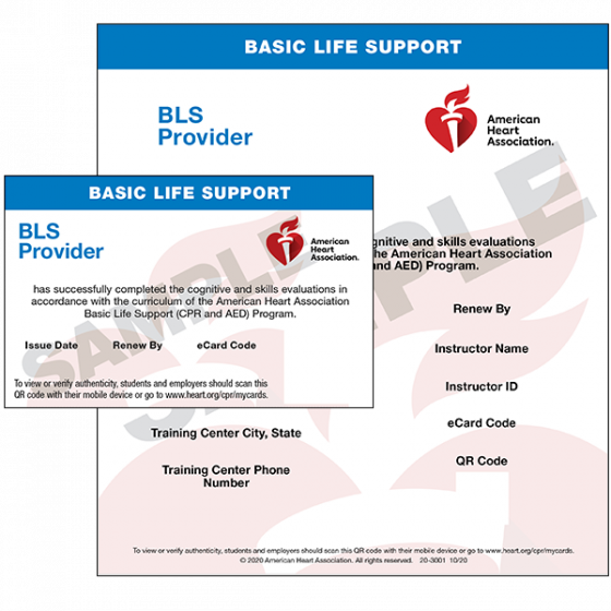 basic-life-support-bls-american-red-cross-same-day-certification